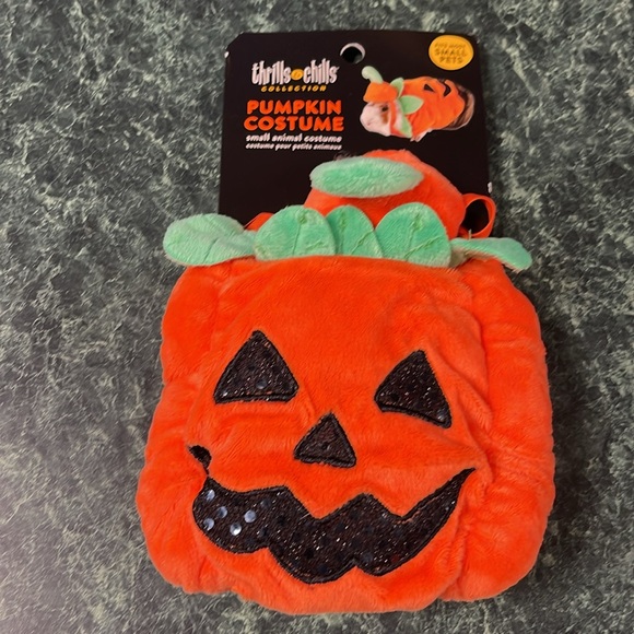 Host Pick Pumpkin, Hot Dog, and Candy Guinea pig Costumes - Picture 2 of 5